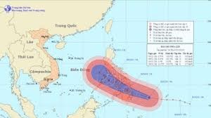 越南各地严密跟踪热带风暴“贝碧嘉”动向，随时发布禁止出海令 - ảnh 1