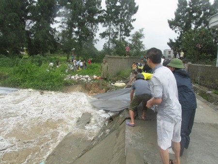 越南各地加紧统计热带风暴“贝碧嘉”造成的损失情况 - ảnh 1