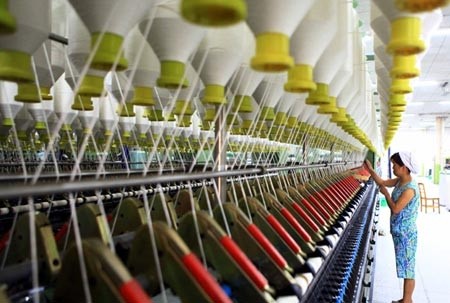 重新规划纺织服装业，以适应融入国际需求 - ảnh 2