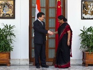 印度和中国举行第五轮战略对话 - ảnh 1