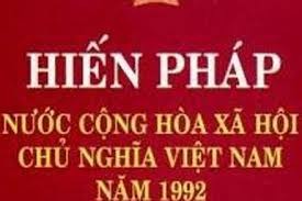 越南宪法代表越南人民的意志和愿望 - ảnh 1