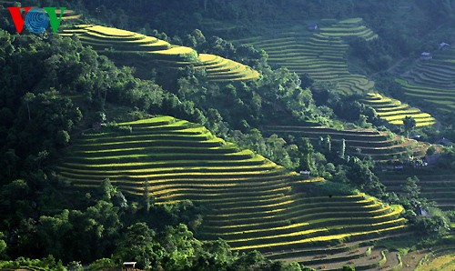 越南北方山区的梯田耕作文化 - ảnh 2