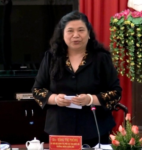 加强越南国会在实现发展目标中的监督职能 - ảnh 1