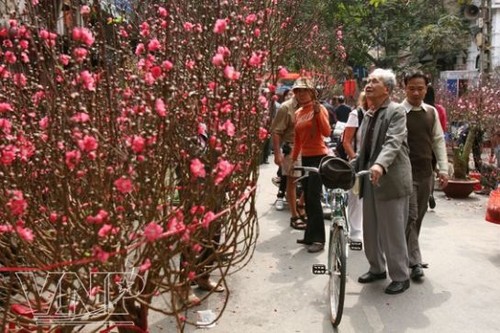 越南语讲座：越南春节花市 - ảnh 1