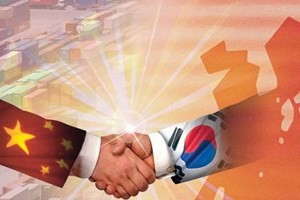 韩中自贸协定第九轮谈判取得进展 - ảnh 1