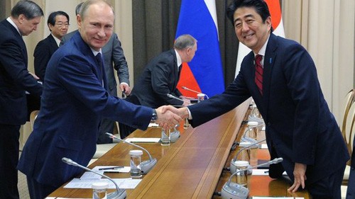 2014年冬奥会期间，俄罗斯总统会见参赛国家领导人 - ảnh 1