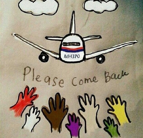 中、马、澳就MH370失联客机下一阶段搜寻工作举行三方部长级会谈 - ảnh 1