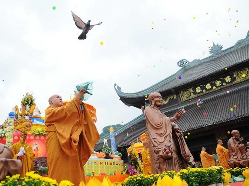 “佛中的莲芯”国际佛教文化艺术表演活动在宁平省举行 - ảnh 1