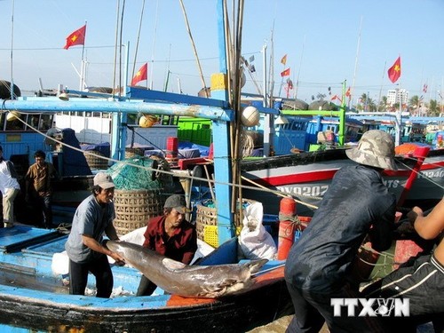 越南渔民团结起来坚持远海捕捞 - ảnh 1