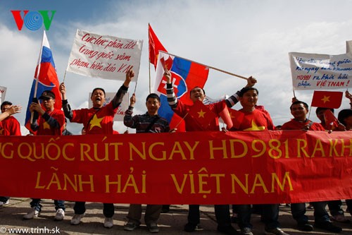 海外越南人反对中国在东海的错误行为 - ảnh 1