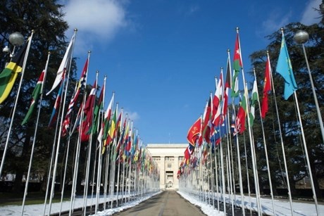  联合国人权理事会核可越南接受第二轮国别人权审查报告 - ảnh 1