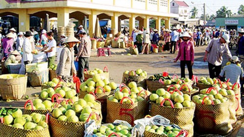 开拓市场，提高越南农产品出口附加值 - ảnh 2