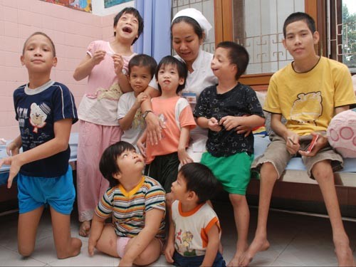 纪念8.10越南橙剂受害者日的切实活动在各地举行 - ảnh 1