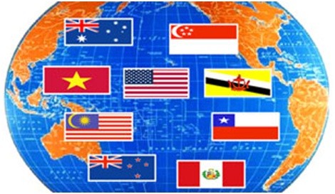 越南加入“跨太平洋伙伴关系协定”必须战胜的挑战 - ảnh 1