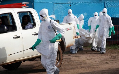 世界卫生组织敦促东亚和太平洋地区国家加强埃博拉疫情防控工作 - ảnh 1