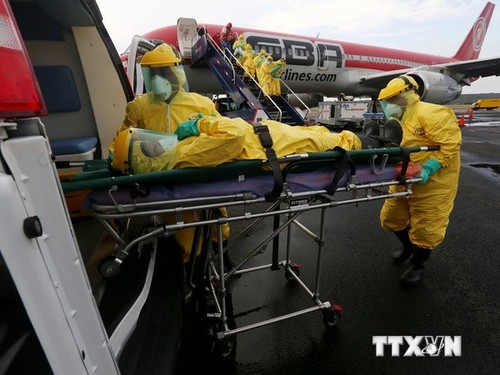 欧盟强调加大抗击埃博拉疫情努力的必要性 - ảnh 1