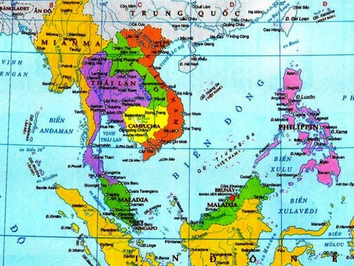 旅居澳大利亚越南人在二十国集团领导人峰会期间就东海问题发声 - ảnh 1