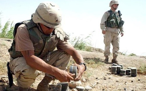 美国承诺将清除全球杀伤性地雷 - ảnh 1