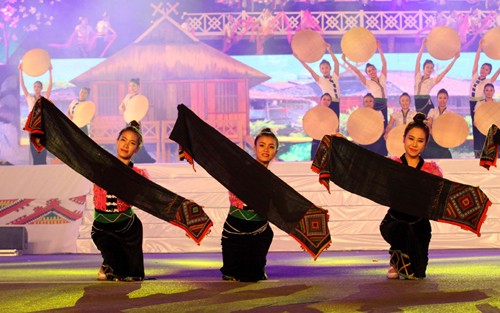 2014年泰族文化日令人印象深刻 - ảnh 1