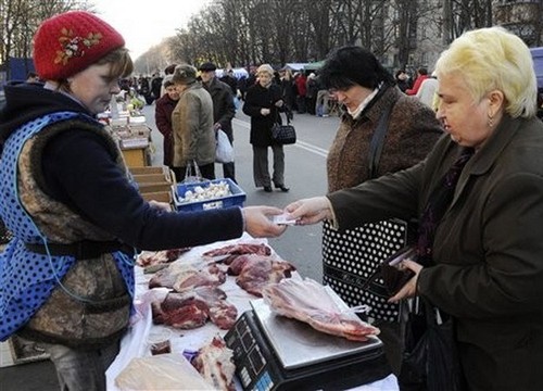 2014年乌克兰经济负增长  - ảnh 1