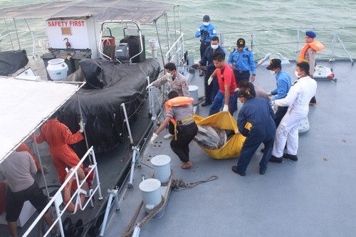 印尼找到更多QZ8501航班遇难者遗体 - ảnh 1