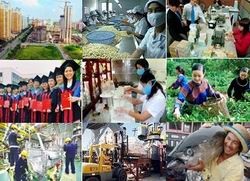 越南政府颁布关于2015年社会经济发展计划实施任务措施的决议 - ảnh 1