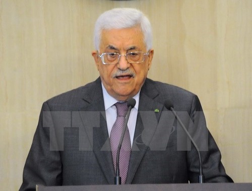 阿拉伯国家联盟就巴勒斯坦问题召开紧急会议 - ảnh 1
