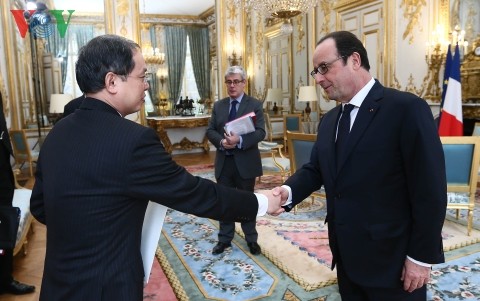 越南驻新加坡及法国大使递交国书 - ảnh 2