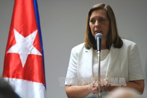 古巴外交官：美国总统可动用其权力放宽禁运令 - ảnh 1