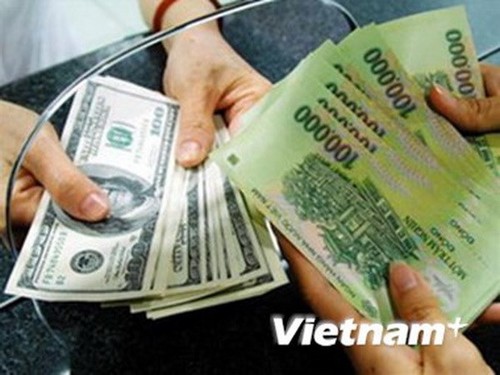 越南主动提升本币竞争力 - ảnh 1