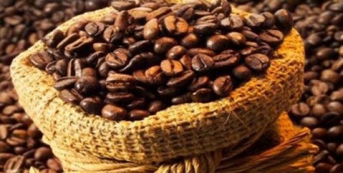 越南咖啡是美国市场上最受欢迎的第六大咖啡品牌 - ảnh 1