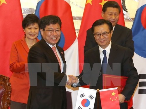韩国和中国草签自由贸易协定 - ảnh 1