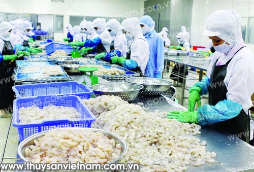 美国将越南虾产品反倾销税率调整为1%以下 - ảnh 1