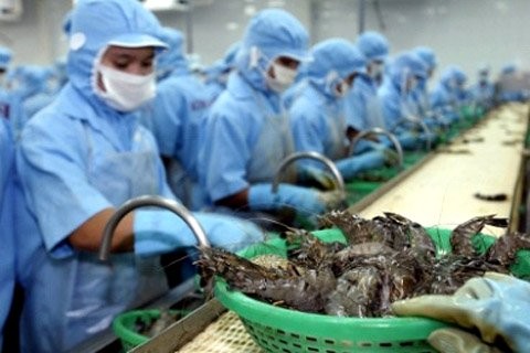 越南虾产品反倾销税率大大降低 - ảnh 1