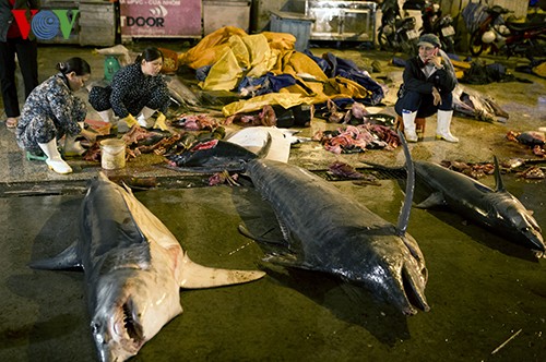 岘港市寿光海鱼市场热闹的春天 - ảnh 9
