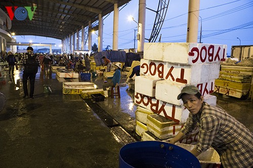 岘港市寿光海鱼市场热闹的春天 - ảnh 14