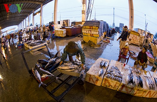 岘港市寿光海鱼市场热闹的春天 - ảnh 15