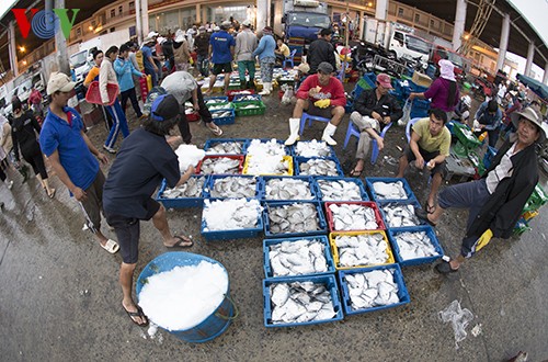 岘港市寿光海鱼市场热闹的春天 - ảnh 18