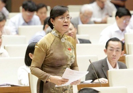 越南国会与实现促进两性平等千年发展目标 - ảnh 2
