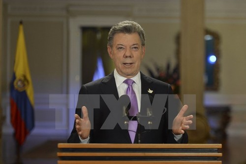 拉美各国支持哥伦比亚和谈进程 - ảnh 1