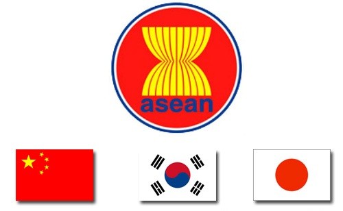 东盟与中日韩承诺改革机制面向可持续发展 - ảnh 1