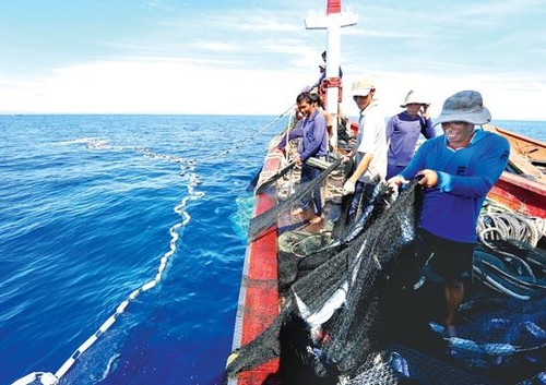 越南渔民反对中国实施毫无道理的禁渔令 - ảnh 1