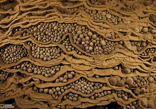 Son Doong洞——世界上最大的洞穴    - ảnh 9