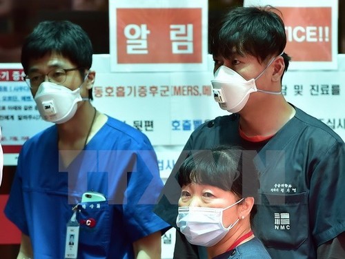 韩国确认新增一例MERS死亡病例 - ảnh 1