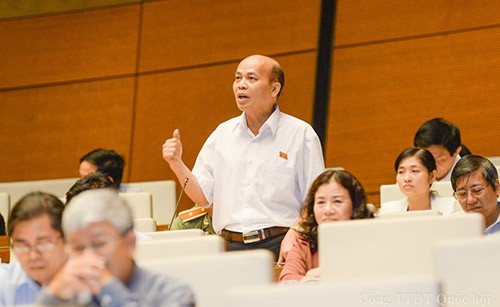 越南十三届国会九次会议向《刑事诉讼法修正案（草案）》提供意见 - ảnh 1