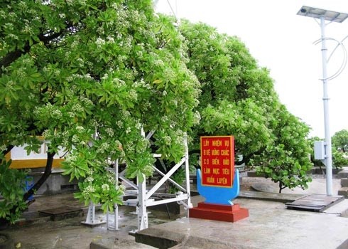 长沙岛县的遗产树 - ảnh 1