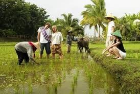 世界银行协助越南革新农业与教育 - ảnh 1