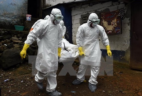  利比里亚确认再发现两例埃博拉新病例 - ảnh 1