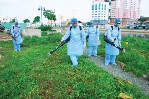 越南卫生部成立十个防治登革热疫情工作组 - ảnh 1