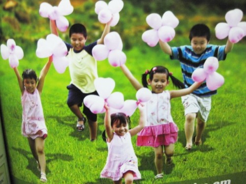 越南国会青少年儿童文化教育委员会向《儿童保护、照顾和教育法（草案）》提供意见 - ảnh 1